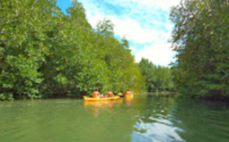 Destinations unknown: 2 วัน 1 คืน เกาะยาวใหญ่