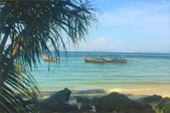 เกาะไม้ไผ่ เกาะพีพี Camel Rock