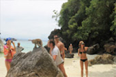 เกาะไม้ไผ่ เกาะพีพี Camel Rock