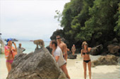 เช่าเรือส่วนตัวเที่ยวเกาะยาว