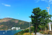 The Elderly: 4 วัน 3 คืน ภูเก็ต เกาะยาว เกาะไข่ และเจมส์บอนด์