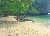 The Blue Lagoon: 1 วัน