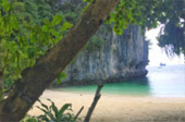 The Blue Lagoon: 1 วัน