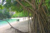 The Blue Lagoon: 1 วัน