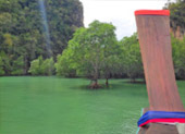 The Blue Lagoon: 1 วัน