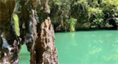James Bond Island: ทัวร์วันเดียว