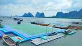 The Elderly: 4 วัน 3 คืน ภูเก็ต เกาะยาว เกาะไข่ และเจมส์บอนด์
