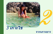 3 เกาะไข่ จากเกาะยาว  อาบแดด รับลมทะเล หยอกล้อกับ Marine Life