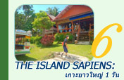 The Island Sapiens: เกาะยาวใหญ่ 1 วัน