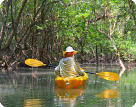 Destinations unknown: 2 วัน 1 คืน เกาะยาวใหญ่ Destinations unknown: 2 วัน 1 คืน เกาะยาวใหญ่