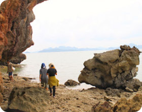 เดินป่า เกาะยาวน้อย พิสูจน์ตัวตน ค้นหา และสำรวจ เดินป่า เกาะยาวน้อย พิสูจน์ตัวตน ค้นหา และสำรวจ