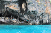 เกาะพีพี Private Group โดยเรือหางยาว จากเกาะยาว เช้าเย็นกลับ