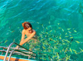 เกาะพีพี Private Group โดยเรือหางยาว จากเกาะยาว เช้าเย็นกลับ