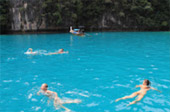 เกาะพีพี Private Group โดยเรือหางยาว จากเกาะยาว เช้าเย็นกลับ