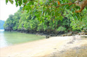 เดินป่า เกาะยาวน้อย พิสูจน์ตัวตน ค้นหา และสำรวจ