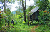 เดินป่า เกาะยาวน้อย พิสูจน์ตัวตน ค้นหา และสำรวจ