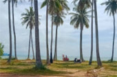 The Island Sapiens: เกาะยาวใหญ่ 1 วัน