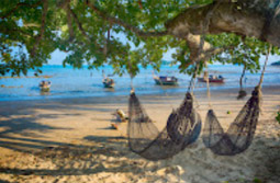 The Island Sapiens: เกาะยาวใหญ่ 1 วัน