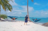 The Island Sapiens: เกาะยาวใหญ่ 1 วัน
