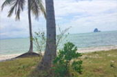 The Island Sapiens: เกาะยาวใหญ่ 1 วัน