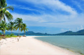 The Island Sapiens: เกาะยาวใหญ่ 1 วัน