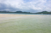 The Island Sapiens: เกาะยาวใหญ่ 1 วัน